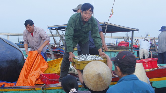 Quá trình tìm nguyên nhân cá chết: Manh mối bất ngờ - ảnh 1
