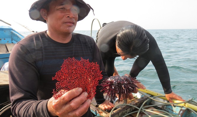Dọc miền chân sóng - Kỳ cuối: Chồng chất nỗi niềm - ảnh 1