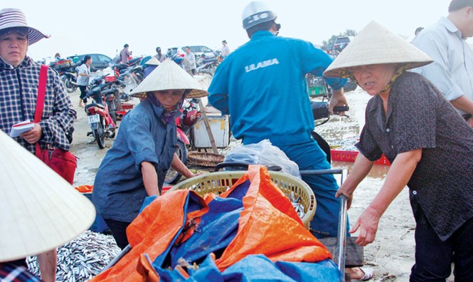 Thủ tướng: Một số cán bộ môi trường vô trách nhiệm - ảnh 1