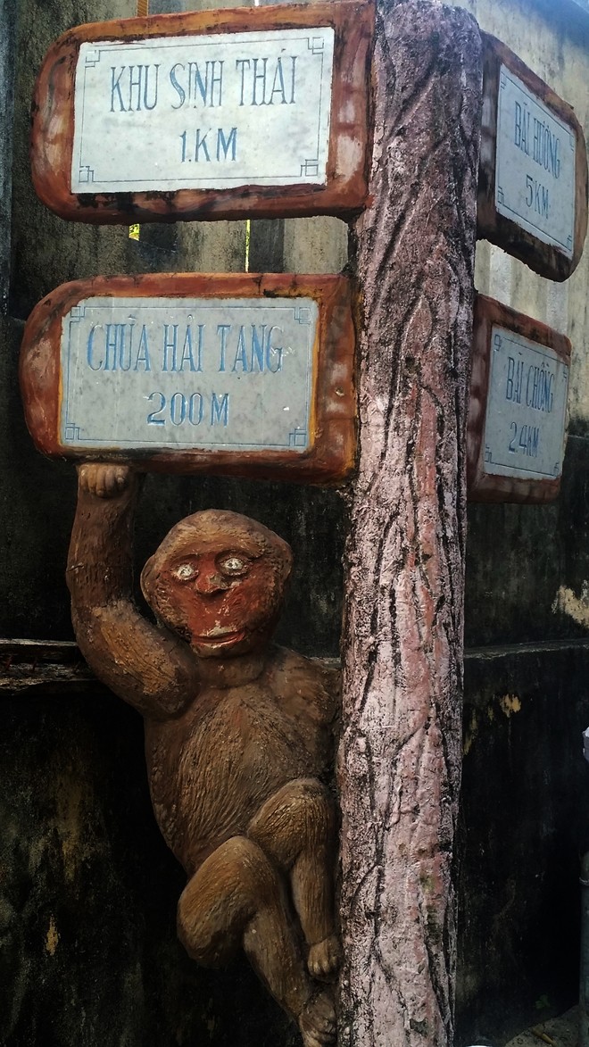 'Tôn Ngộ Không' cúp điện Cù Lao Chàm - ảnh 1