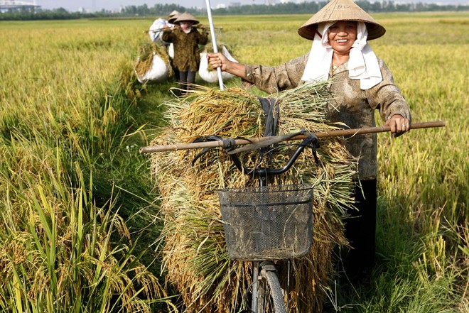 Vượt lên nền nông nghiệp 'cơ bắp' - ảnh 1
