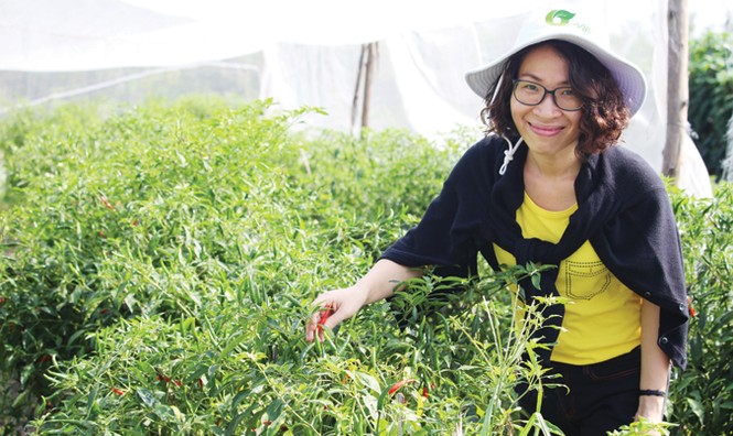 Thảo “Organic” - ảnh 1