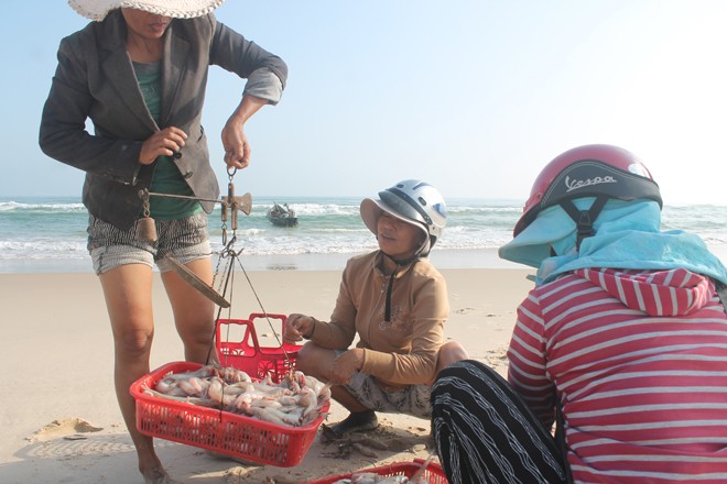 Một ngày ra khơi hái lộc biển - ảnh 2
