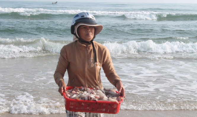 Một ngày ra khơi hái lộc biển - ảnh 1