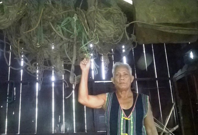 Kỳ bí chuyện săn voi giữa đại ngàn - ảnh 1