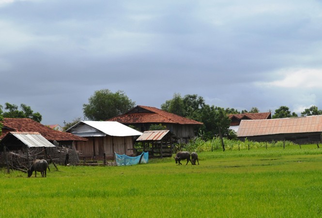 Đa thê ở buôn nghèo - ảnh 1