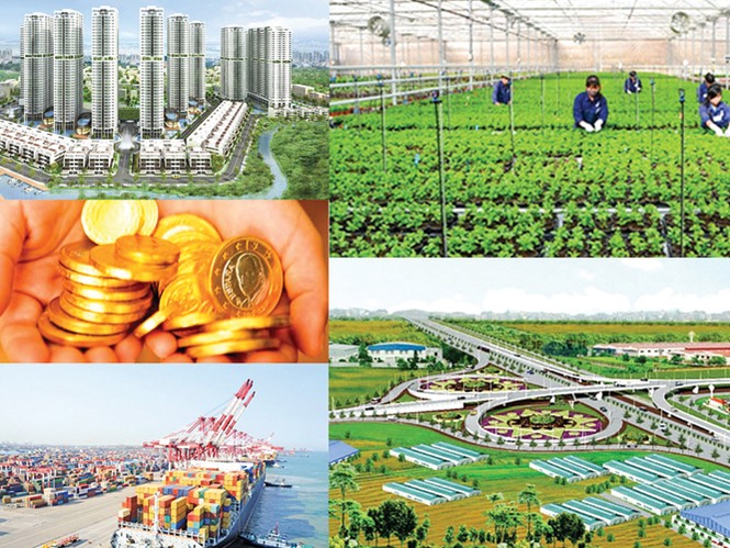 Chẩn bệnh doanh nghiệp Nhà nước - ảnh 1