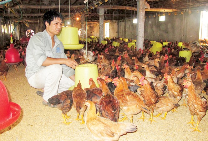 “Phí bôi trơn” hút cạn sức doanh nghiệp - ảnh 2