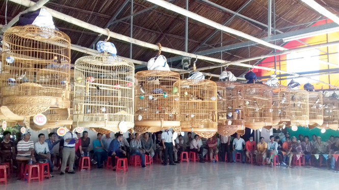Chiêu độc đánh bại “thánh cám nhái” - ảnh 1