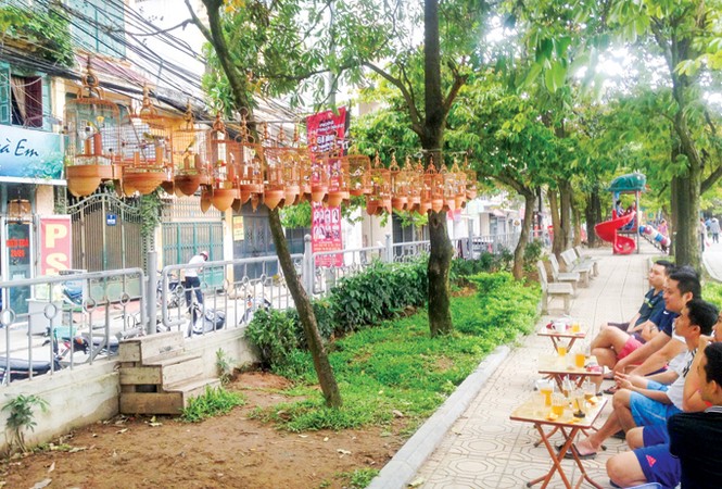 Chiêu độc đánh bại “thánh cám nhái” - ảnh 2