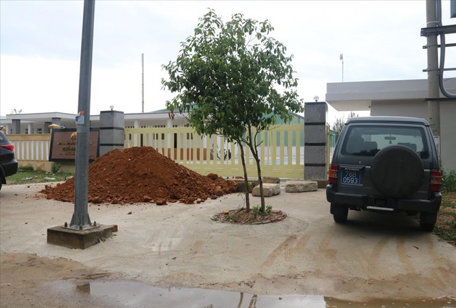 Dân tố nhà máy chế biến bột cá gây mùi hôi - ảnh 1