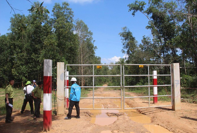 Lập hàng rào điện lên đến 14.000 vôn, voi - người chung sống hòa bình - ảnh 1