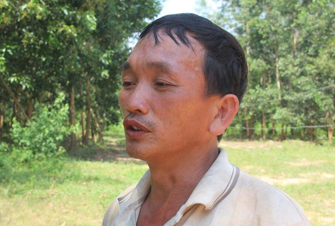 Lập hàng rào điện lên đến 14.000 vôn, voi - người chung sống hòa bình - ảnh 3