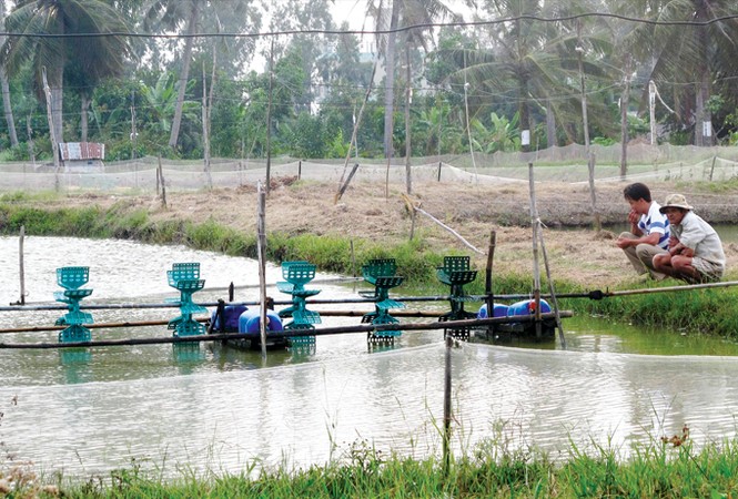Báo động về tai nạn điện sinh hoạt - ảnh 1