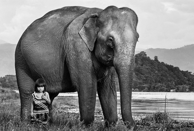Tranh luận về một kiểu chụp ảnh đang 'ăn nên làm ra' - ảnh 2