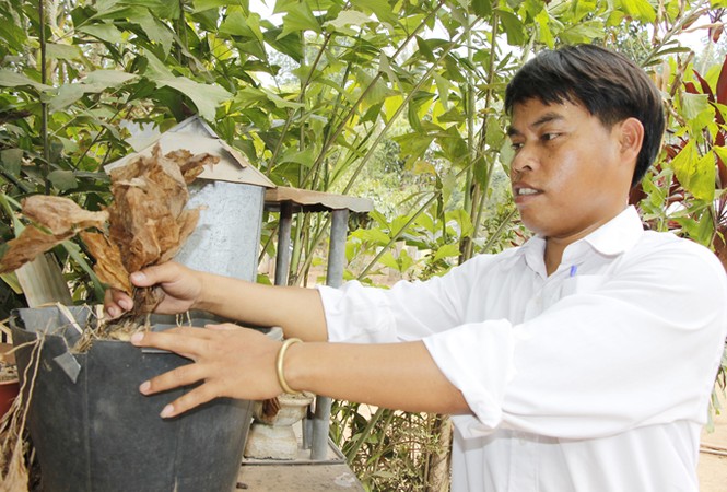 Chiếc lá Tình Yêu - ảnh 2