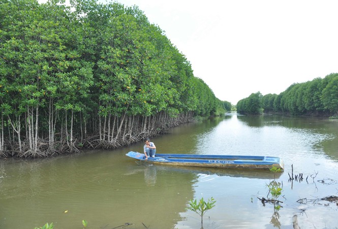 khởi nghiệp - ảnh 1