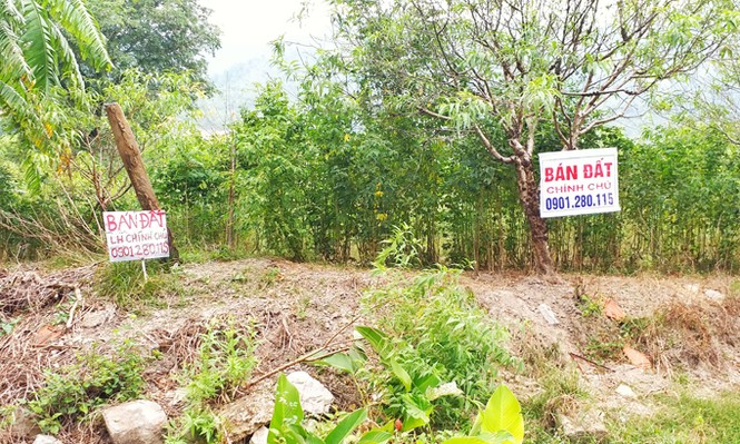đặc khu Vân Đồn - ảnh 3