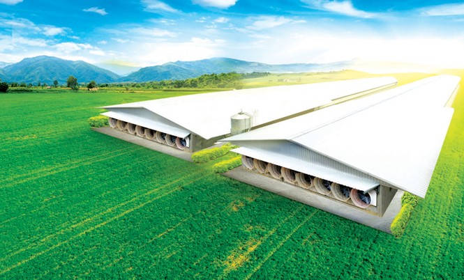 Làm nông nghiệp công nghệ cao: Cần hiểu đúng về đầu tư cho trang trại - ảnh 2