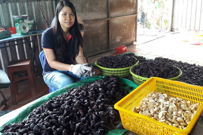 Thành công vì không giống ai - ảnh 2