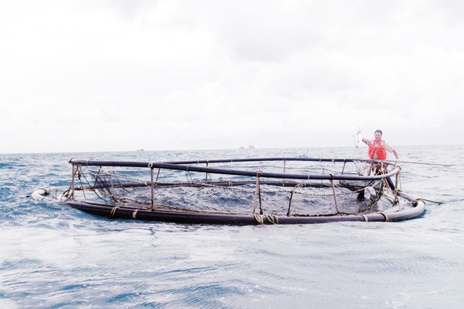 Tổ quốc nhìn từ biển - ảnh 6
