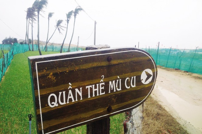 Sống ảo với Mù Cu - ảnh 1