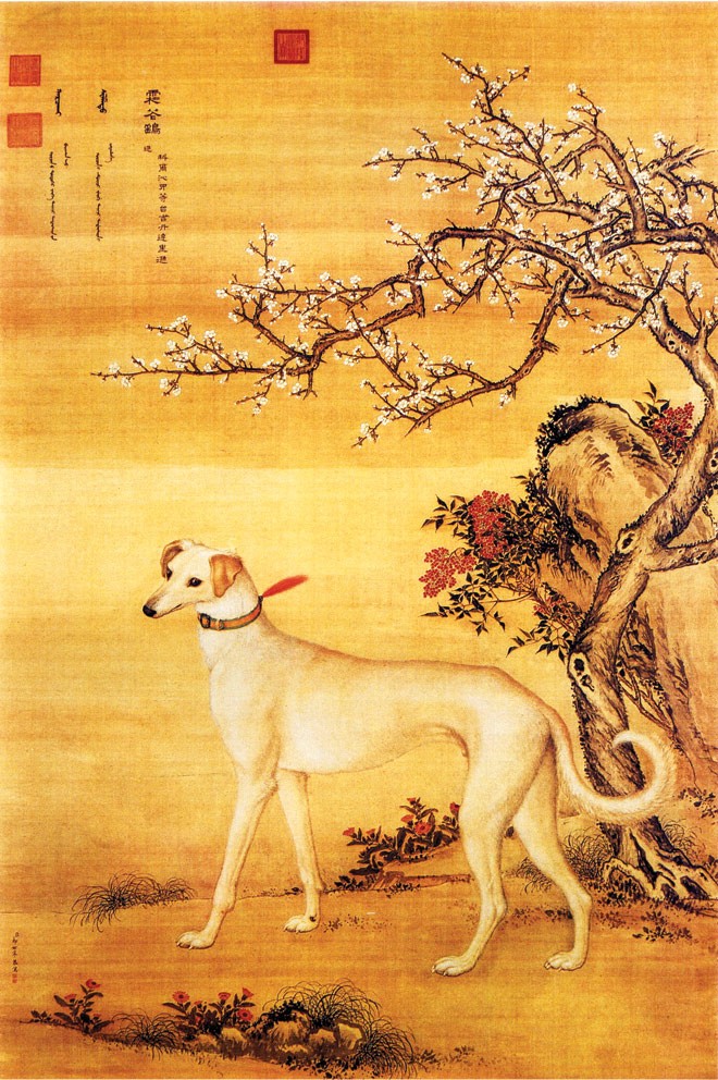 Ðàn chó săn của hoàng đế - ảnh 1