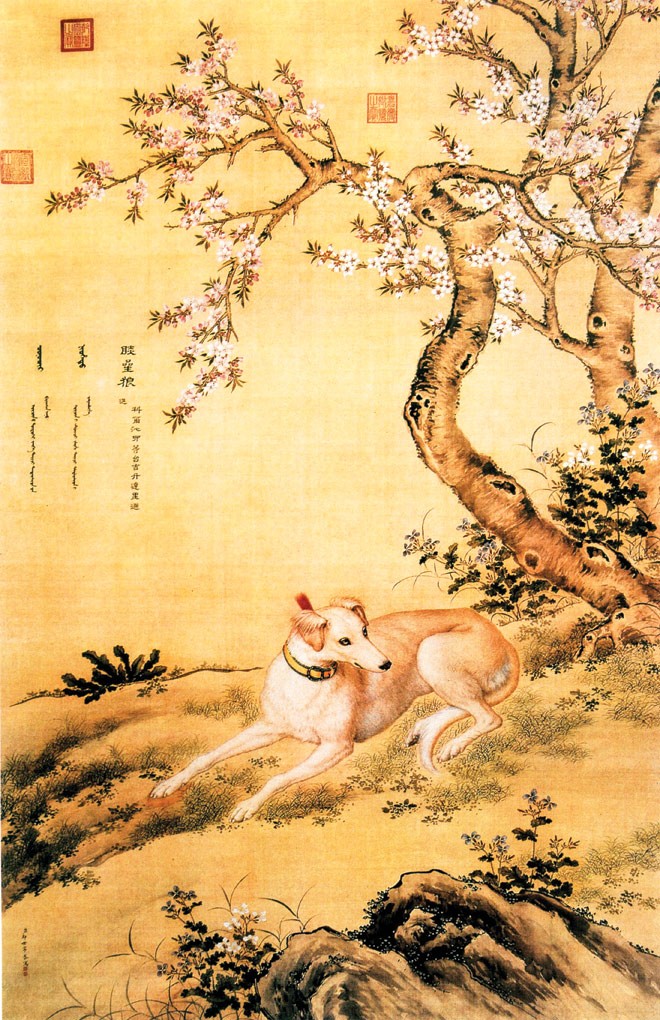 Ðàn chó săn của hoàng đế - ảnh 2