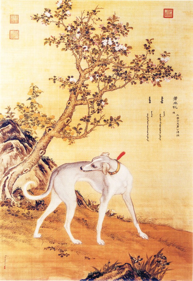 Ðàn chó săn của hoàng đế - ảnh 4