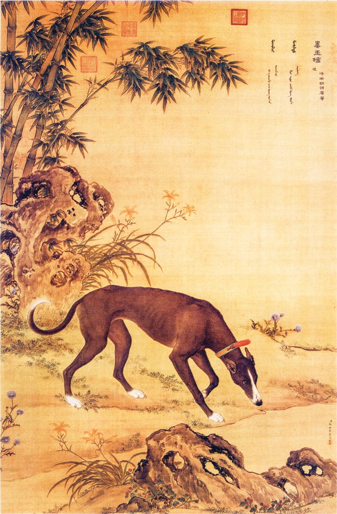 Ðàn chó săn của hoàng đế - ảnh 6