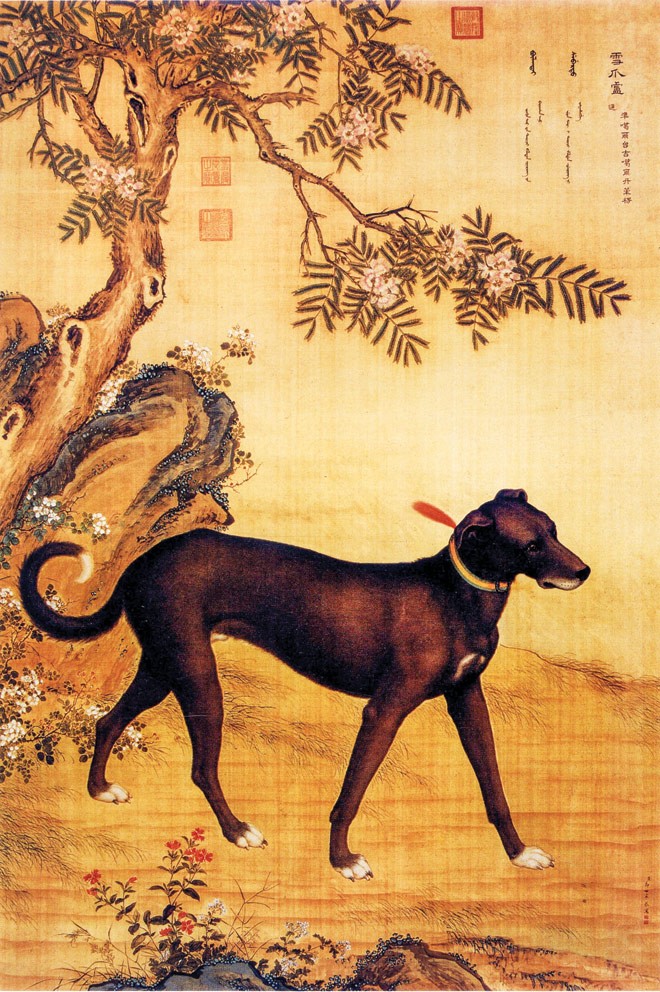 Ðàn chó săn của hoàng đế - ảnh 8