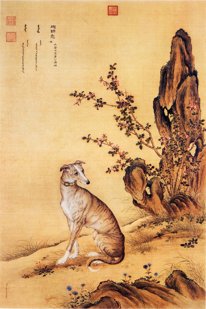 Ðàn chó săn của hoàng đế - ảnh 5