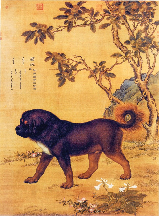 Ðàn chó săn của hoàng đế - ảnh 10