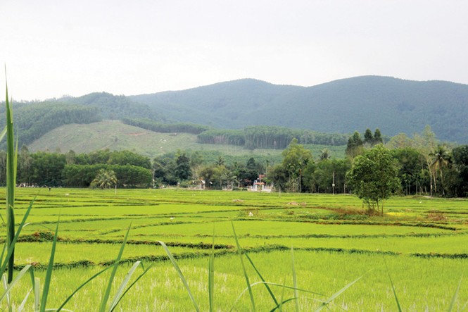 Thôn Quảng Nam nói tiếng... Sài Gòn - ảnh 2