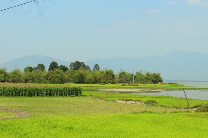 Thám hiểm rừng thiêng - ảnh 2