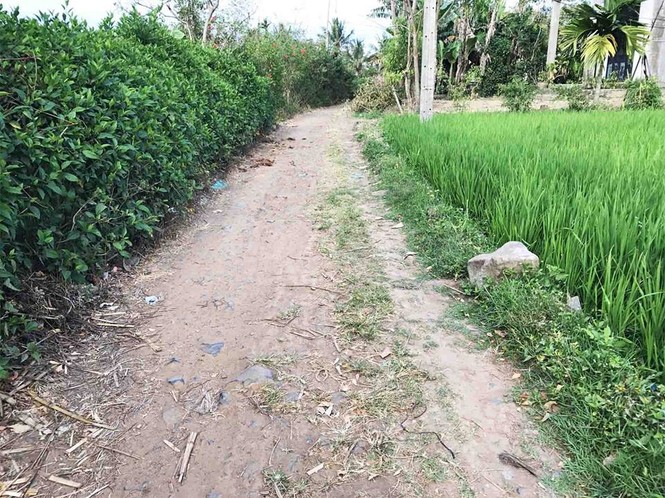 Nghịch lý cấp sổ đỏ trùm cả đường đi chung - ảnh 2