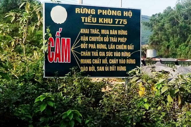  Vì sao dân phản đối chuyện đòi đất? - ảnh 1