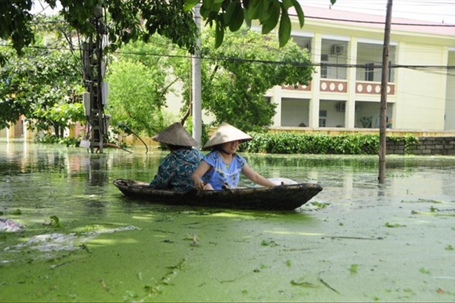 Ðề xuất nâng cấp đê Bùi, giảm thiệt hại cho dân vùng lũ - ảnh 1