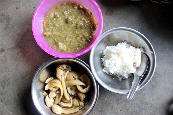 Ngọt, đắng vị rừng - ảnh 1