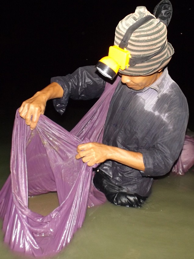Trôi theo dòng nước - ảnh 2