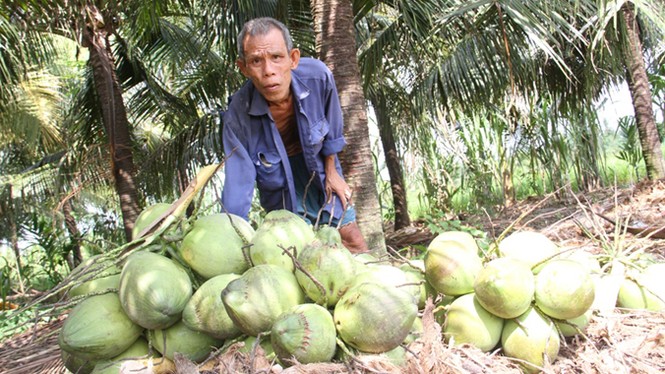 Những mảnh đời lam lũ bên dinh thự nguy nga - ảnh 4