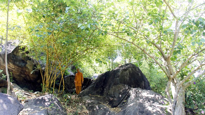 Bảo tàng tre trên núi - ảnh 1