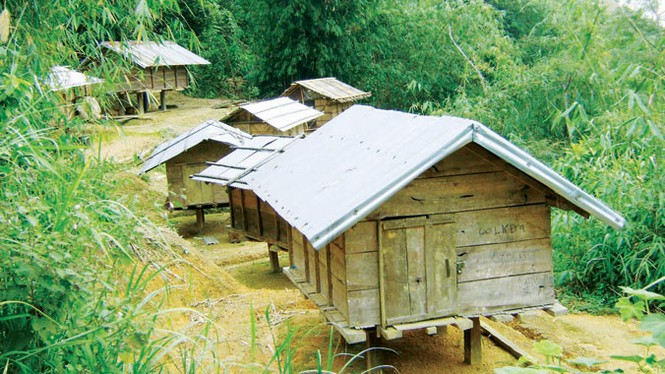 Lễ hội lúa kho của người Xê Đăng - ảnh 1