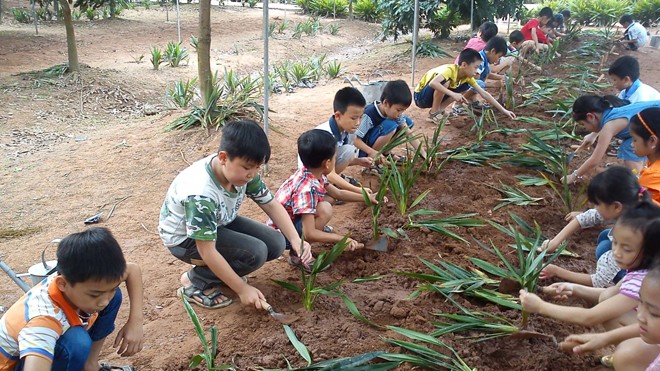 Trang trại: đúng, giáo dục: chưa - ảnh 1