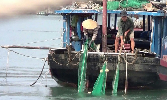 Thập diện mai phục vịnh Hạ Long - Kỳ cuối: Khai thác kiểu tận diệt - ảnh 1