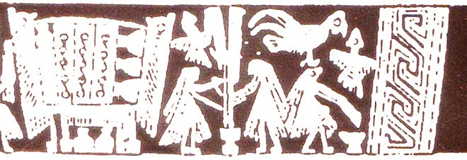 Cựa gà ngàn năm không mỏi - ảnh 1