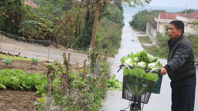 Tết về trên đảo tiền tiêu - ảnh 1
