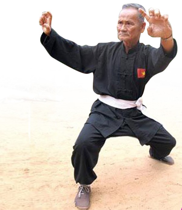 Năm gà, kể chuyện “hùng kê quyền“ - ảnh 2