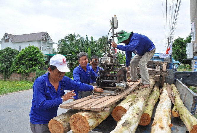 Biệt đội nhà tình thương - ảnh 1
