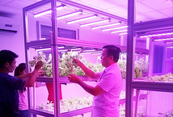 Nhà khoa học trẻ và ngày trở về không giống ai - ảnh 1